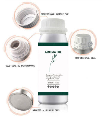 Wholesale Park Hyatt Commercial Electric Scent Diffuser Fragrance Oil Diffuser